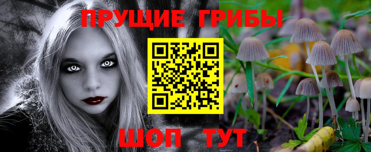 Псилоцибиновые грибы Psilocybe Новый Уренгой