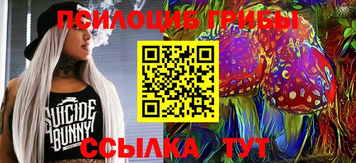 Новый Уренгой  Галлюциногенные грибы MAGIC MUSHROOMS  закладка  Вход с VPN 